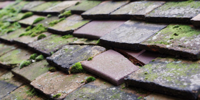 Pontyberem roof repair costs